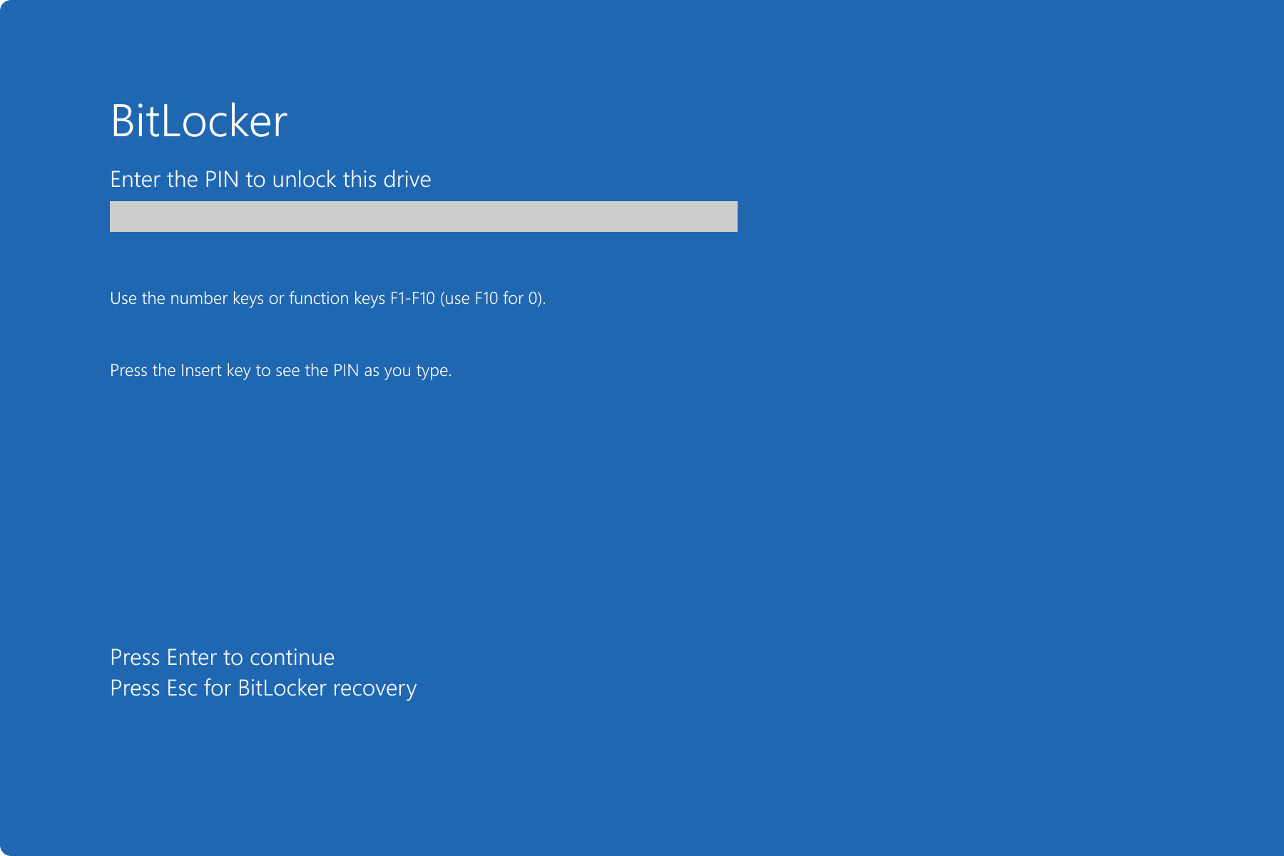 bitlocker omzeilen